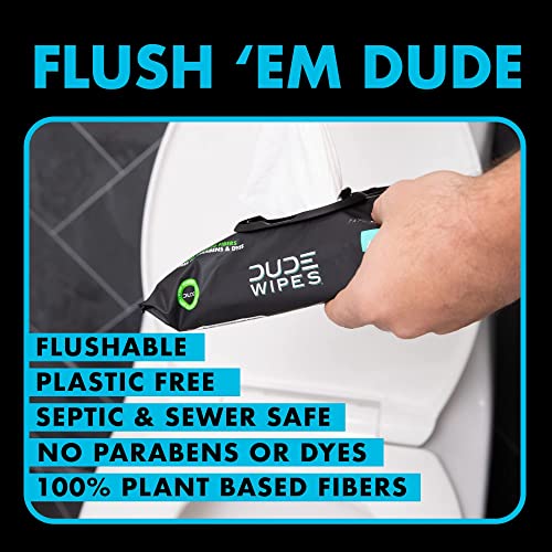 DUDE Wipes - Flushable Wipes - 6 Pack, 288 Wipes - Shea BUTTer Smooth Extra-Large Adult Wet Wipes - Vitamin-E & Aloe - Septic and Sewer Safe