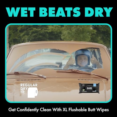 DUDE Wipes - On-The-Go Flushable Wipes - 1 Pack, 30 Wipes - Mint Chill Extra-Large Individually Wrapped Adult Wet Wipes - Eucalyptus & Tea Tree Oil - Septic and Sewer Safe