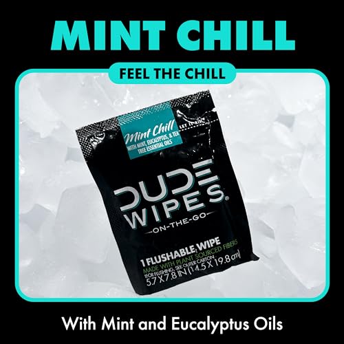 DUDE Wipes - On-The-Go Flushable Wipes - 1 Pack, 30 Wipes - Mint Chill Extra-Large Individually Wrapped Adult Wet Wipes - Eucalyptus & Tea Tree Oil - Septic and Sewer Safe