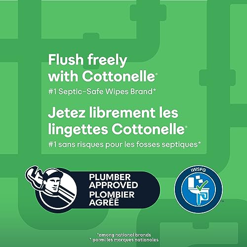 Cottonelle GentlePlus Flushable Wet Wipes with Aloe & Vitamin E, 6 Flip-Top Packs, 42 Wipes Per Pack (252 Total Wipes)