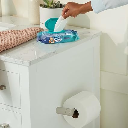 Charmin Flushable Wipes, 12 packs, 40 Flushable Wipes per Pack