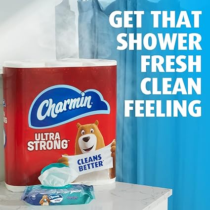 Charmin Flushable Wipes, 12 packs, 40 Flushable Wipes per Pack