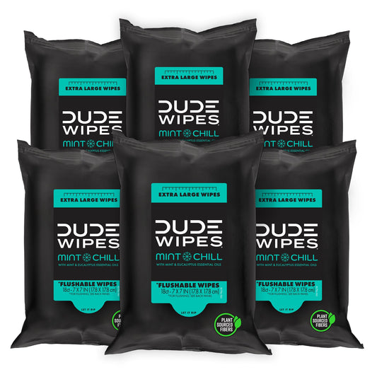 DUDE Wipes - Flushable Wipes Travel Pack - 6 Pack, 108 Wipes - Mint Chill Extra-Large Adult Wet Wipes - Vitamin-E, Aloe Vera, Eucalyptus, and Tea Tree Oils - Septic and Sewer Safe Butt Wipes