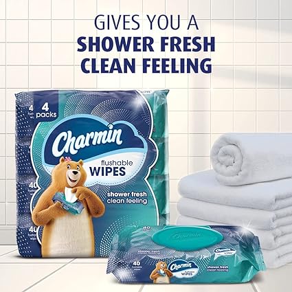 Charmin Flushable Wipes, 12 packs, 40 Flushable Wipes per Pack