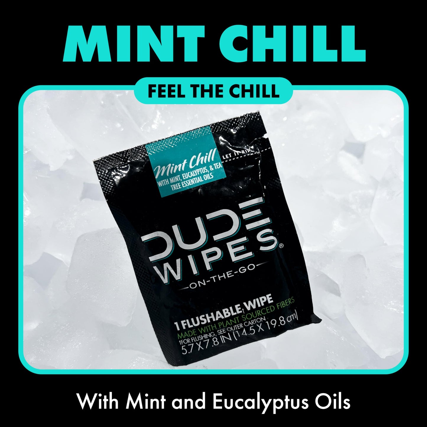 DUDE Wipes - On-The-Go Flushable Wipes - 1 Pack, 30 Wipes - Mint Chill Extra-Large Individually Wrapped Adult Wet Wipes - Eucalyptus & Tea Tree Oil - Septic and Sewer Safe